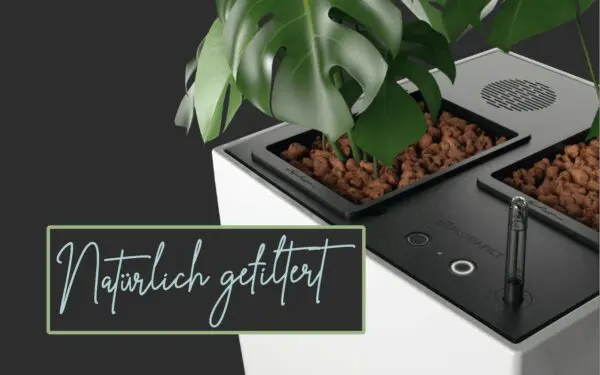 AirCleanPro Natürlich gefiltert