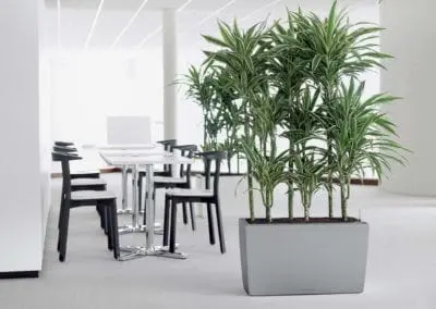 Pflanzgefaesse20