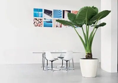 Pflanzgefaesse29