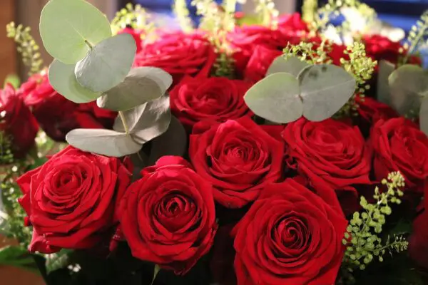 Strauß rote Rosen