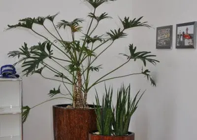 Wohnraum Buero 05 4