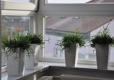 Wohnraum Buero 8