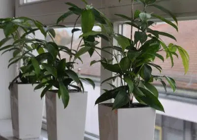Wohnraum Buero 9