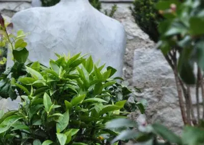 Zitronenbaum Statue